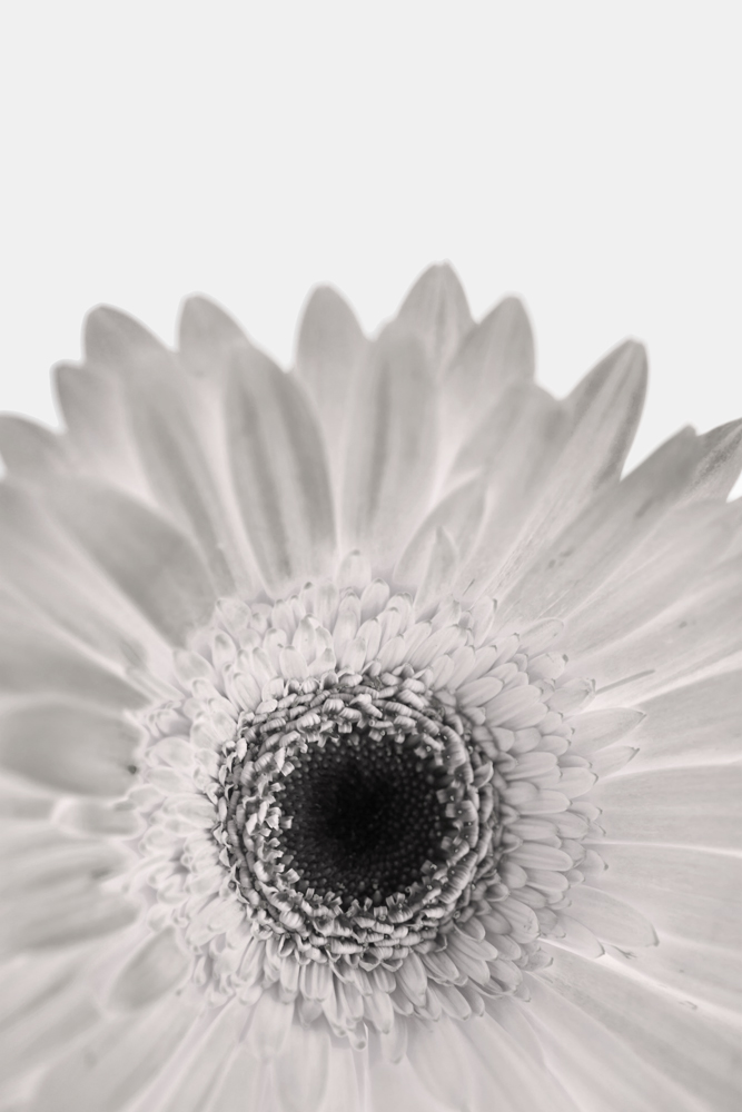 AL00127