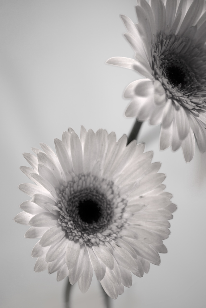 AL00128
