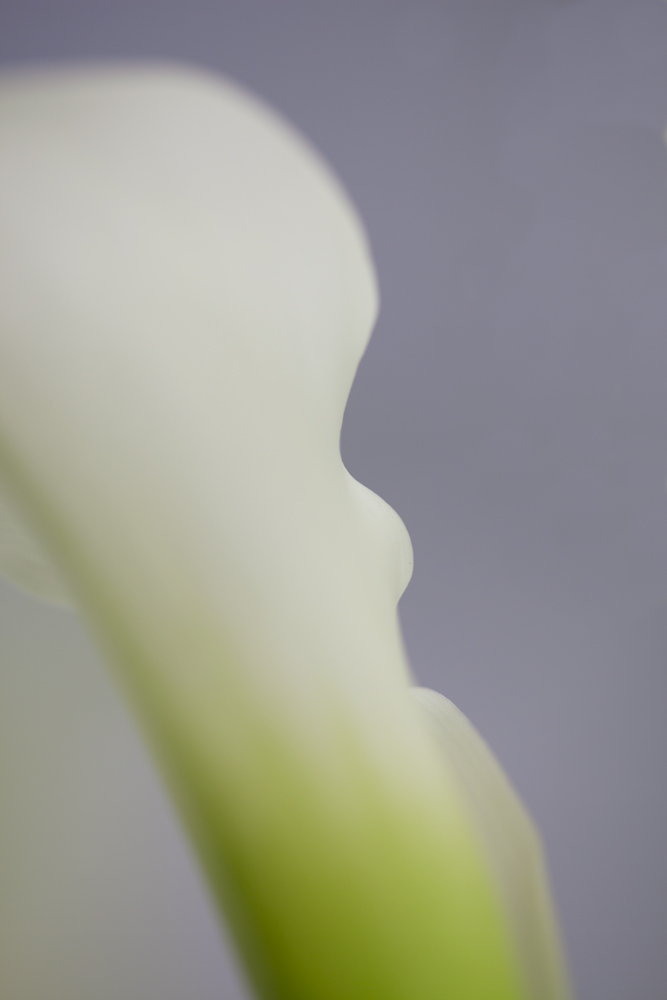 AL00140