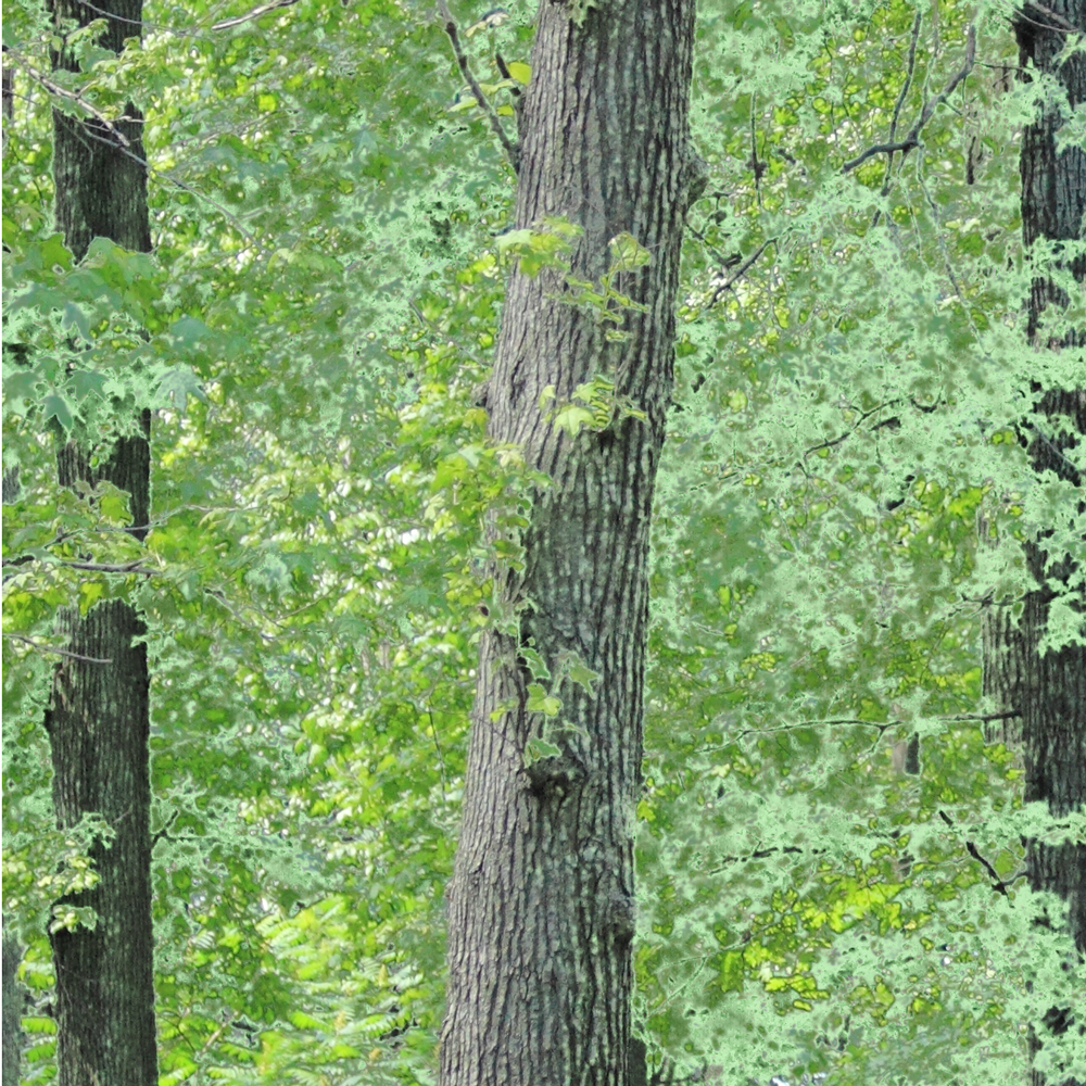 AL00150