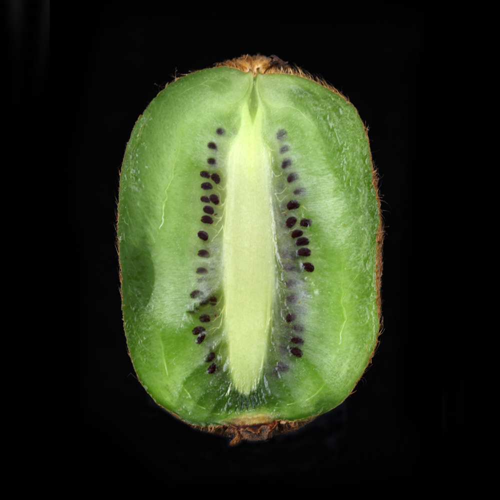 AL01561