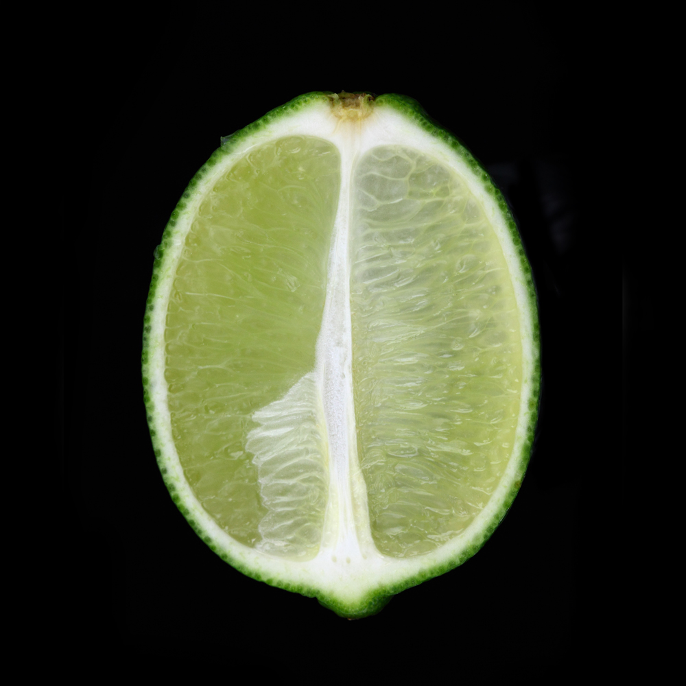 AL01565