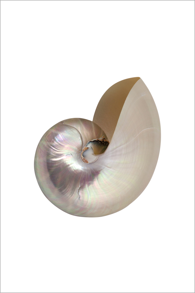 AL01582