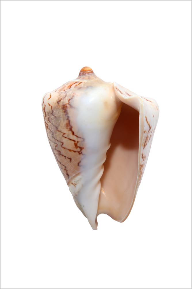 AL01587
