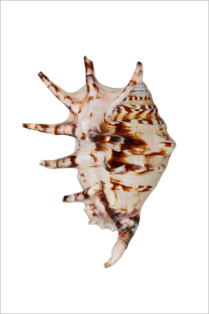 AL01589