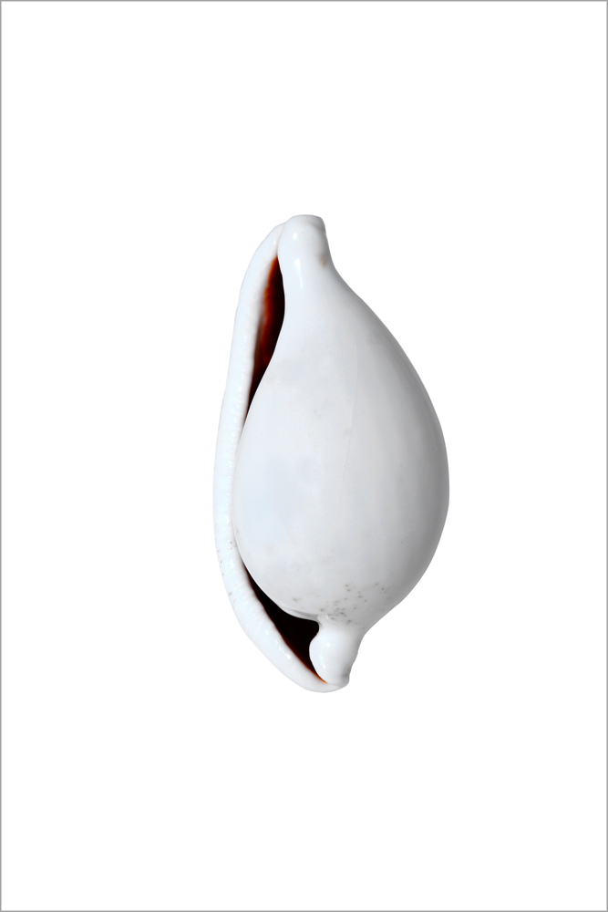 AL01594