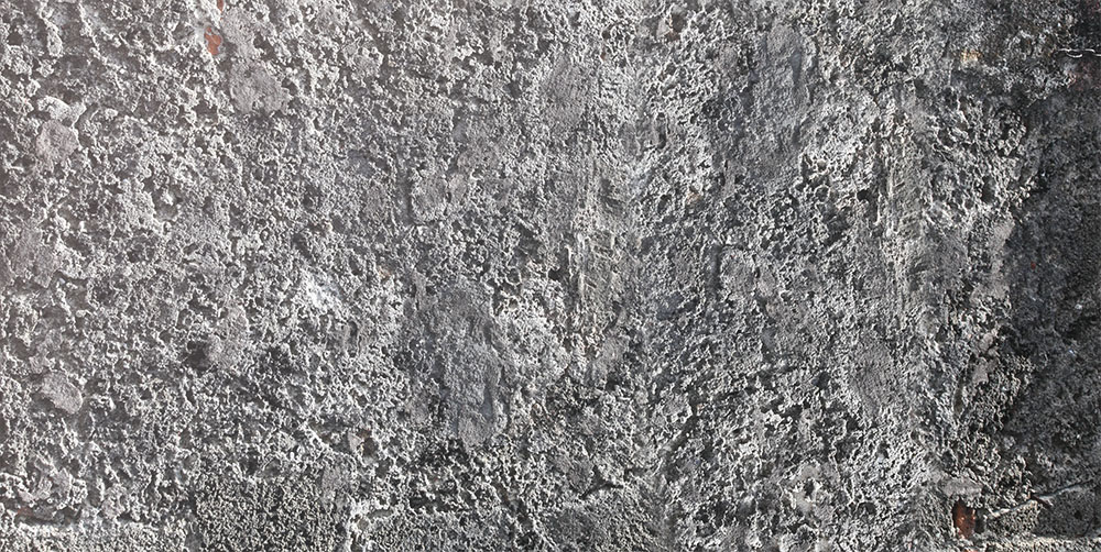 AL01647