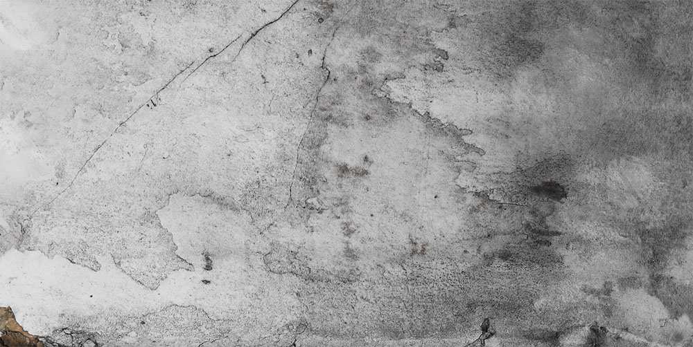 AL01652