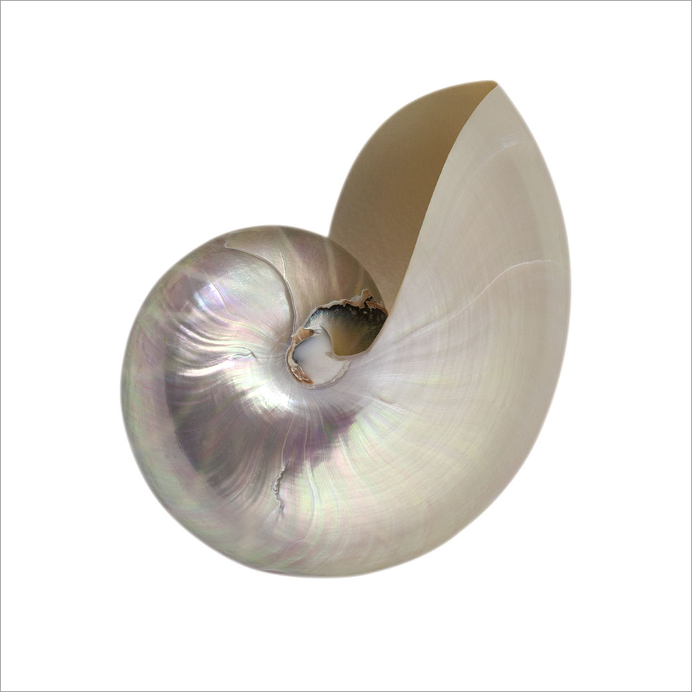 AL01657