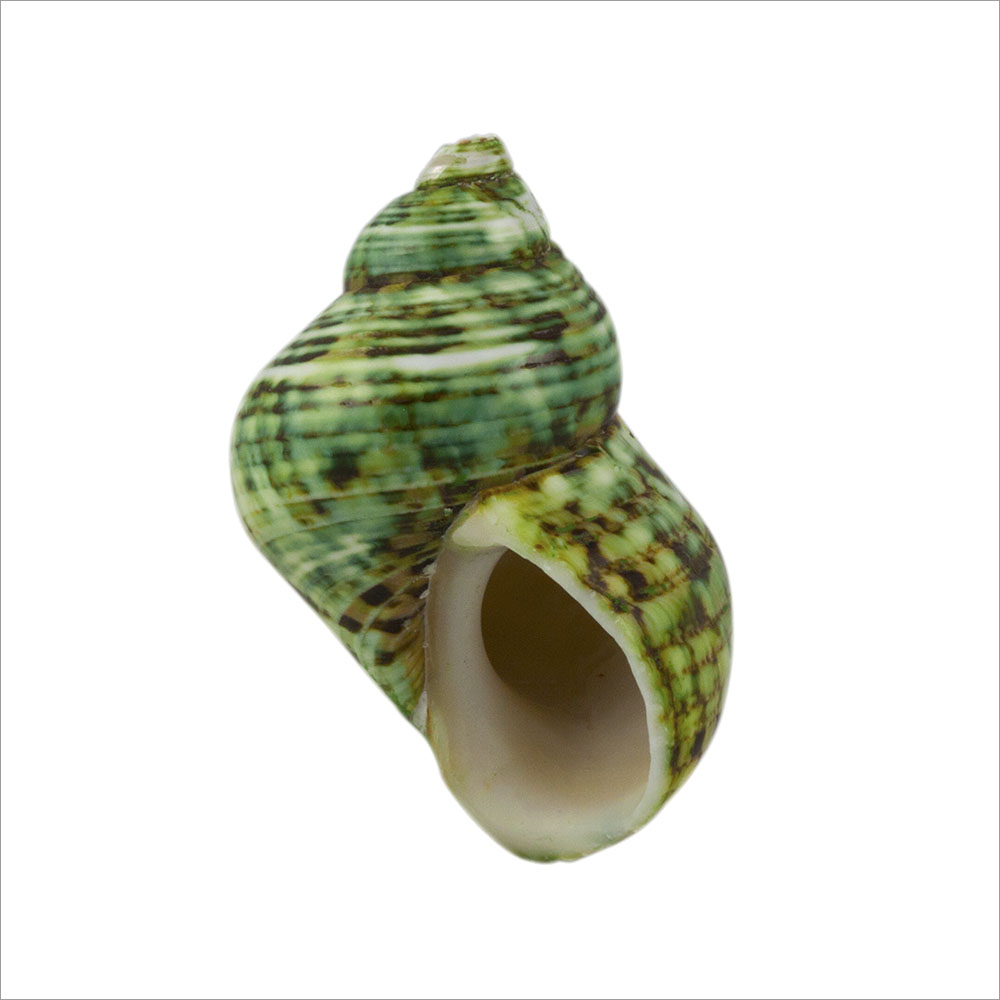 AL01659