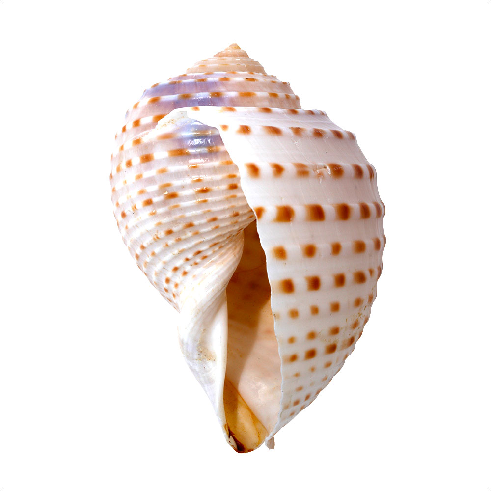 AL01660