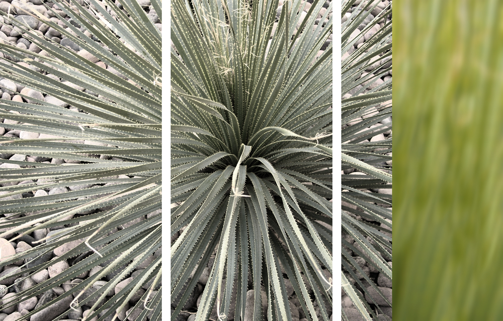 AL01756_3P