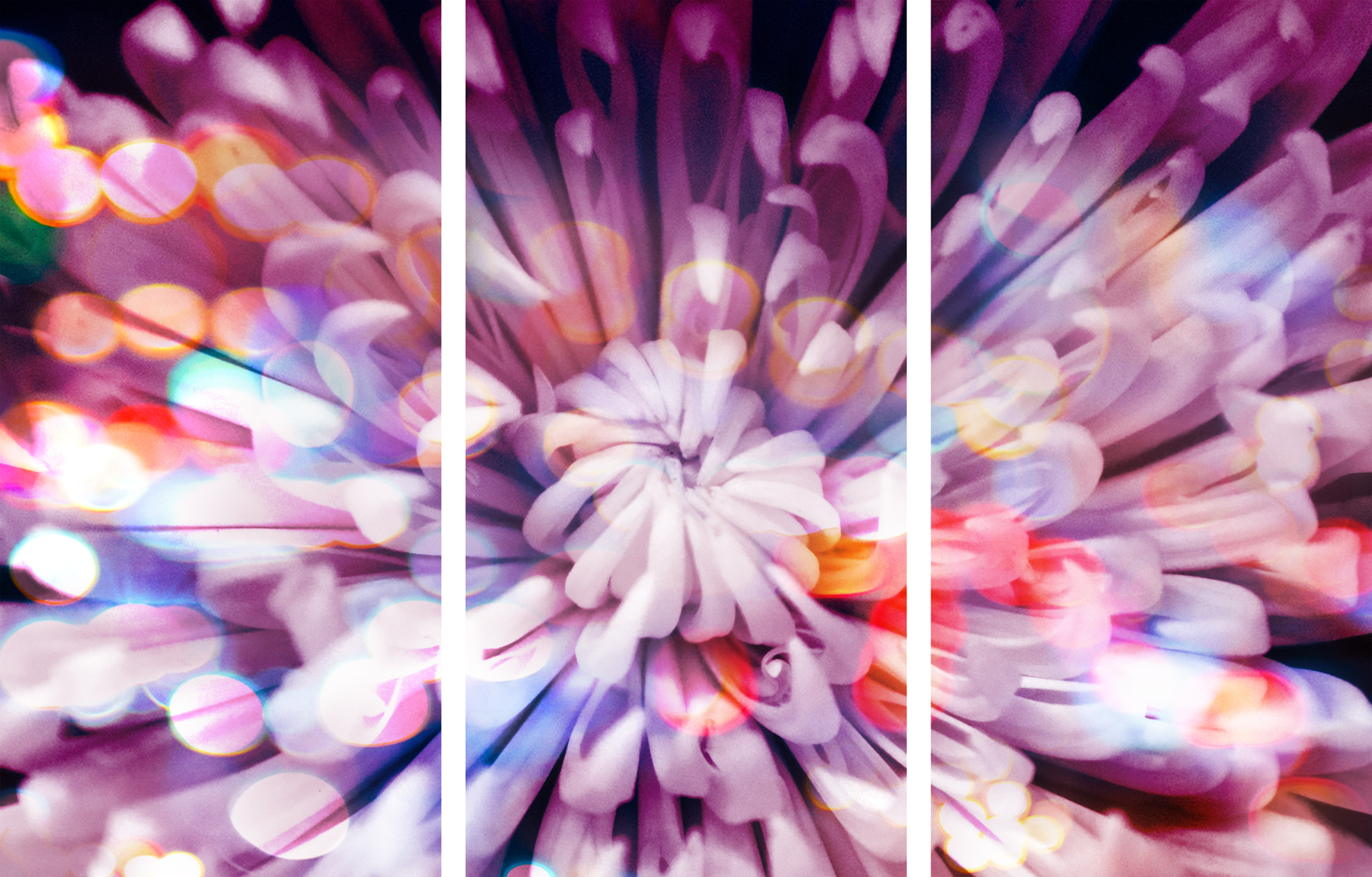 AL02214_3P