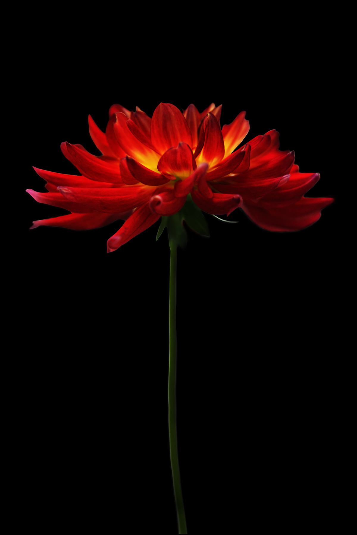 AL02265