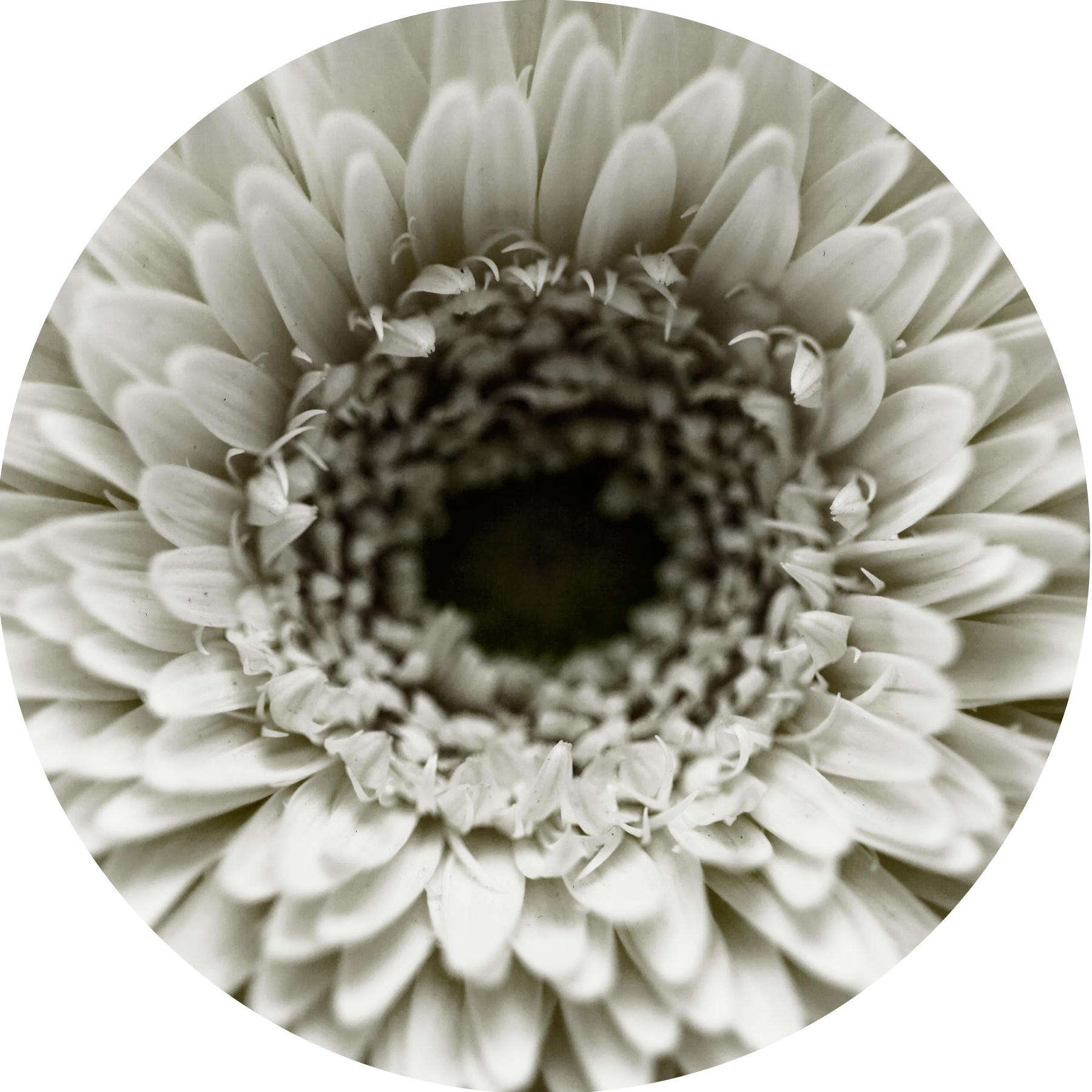 AL02317