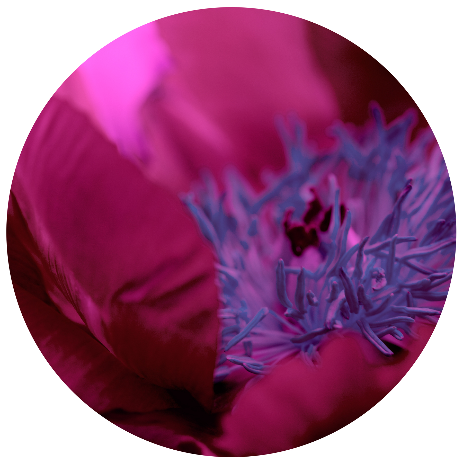 AL02320