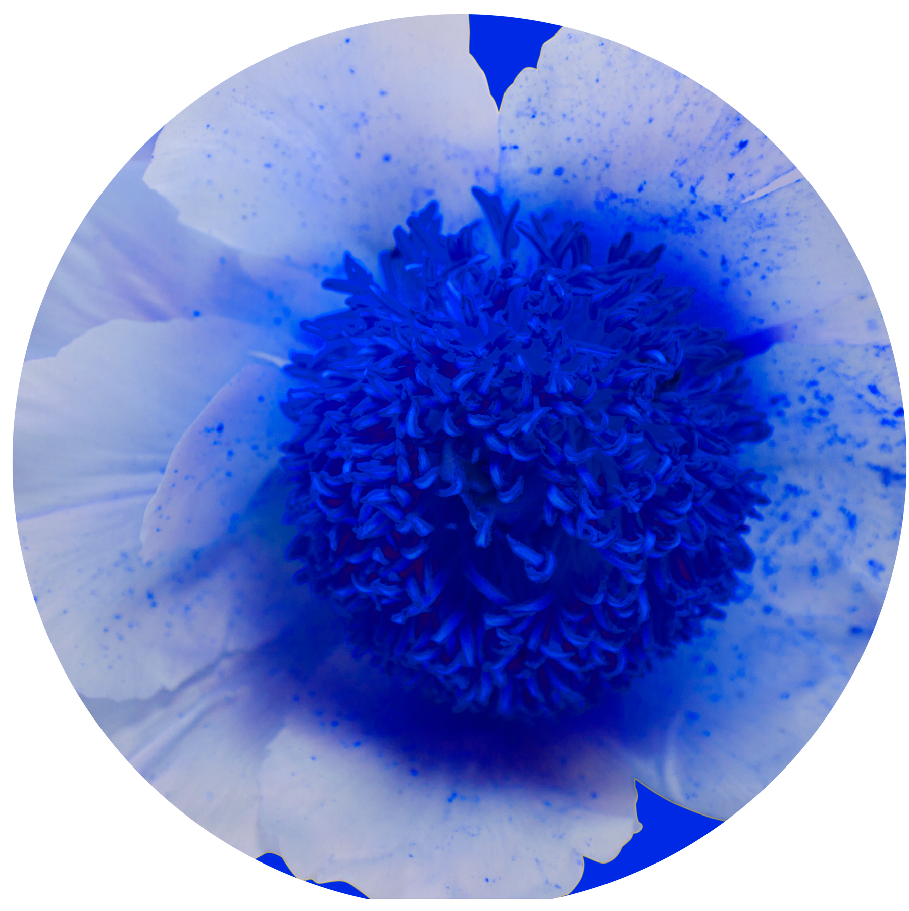 AL02321
