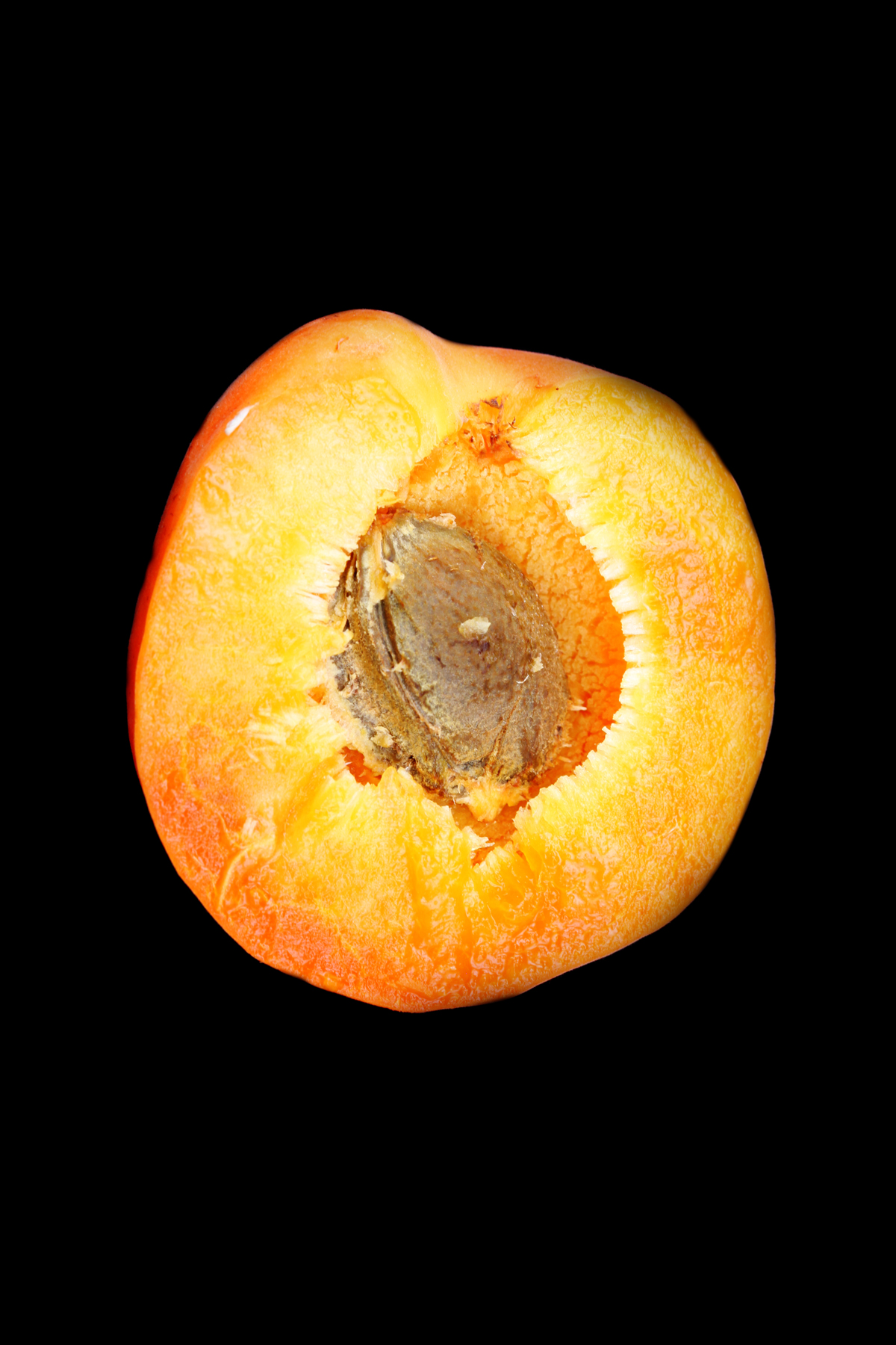 AL02469