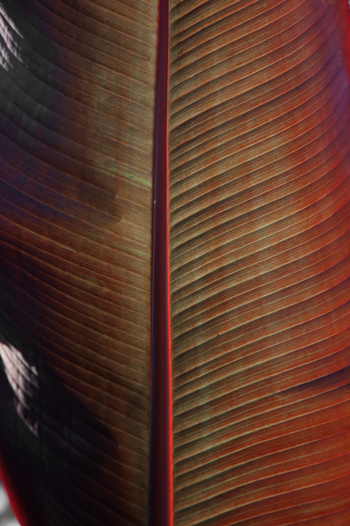 AL02587