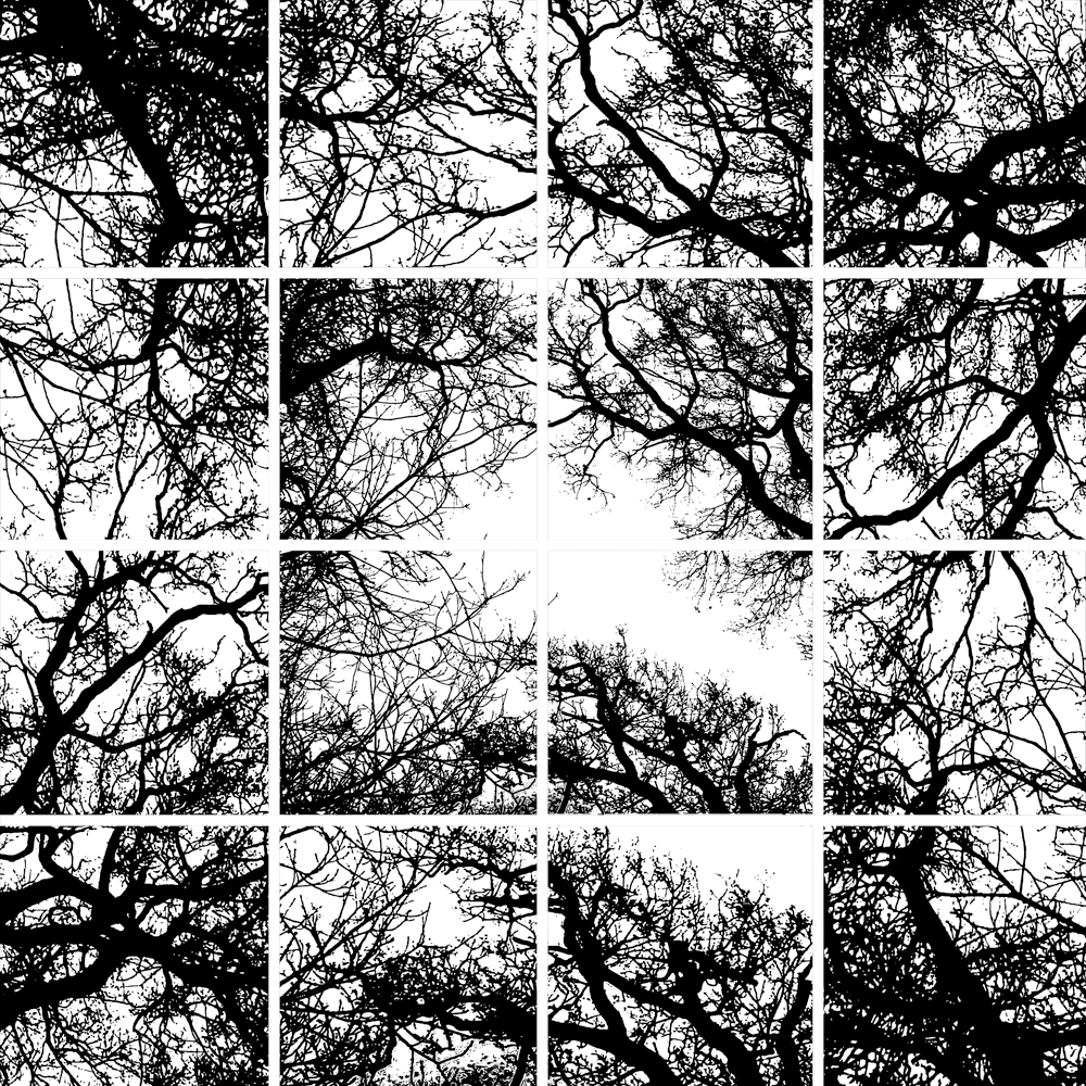 AL06872 (AD000052)