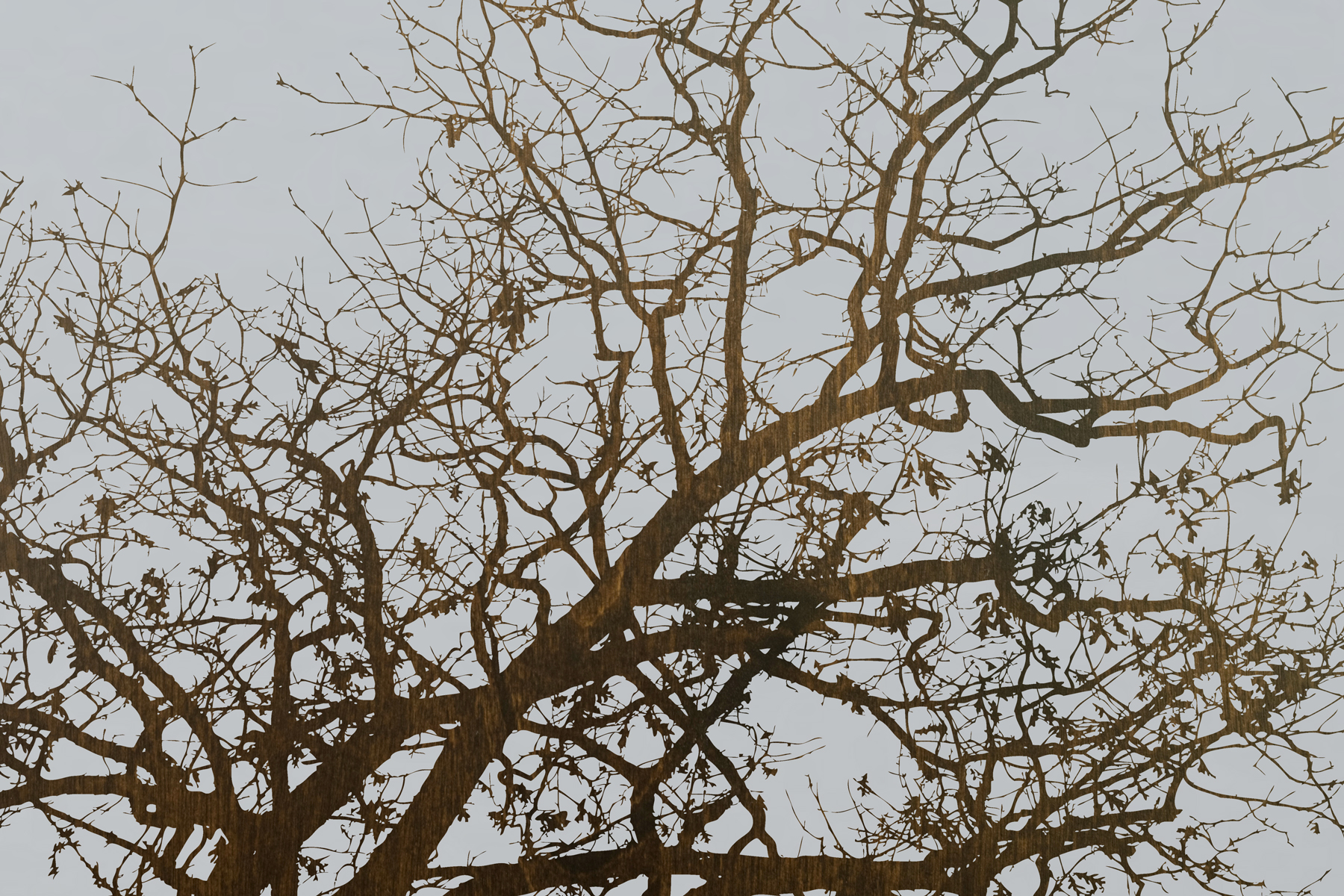 AL06887 (AD03240)