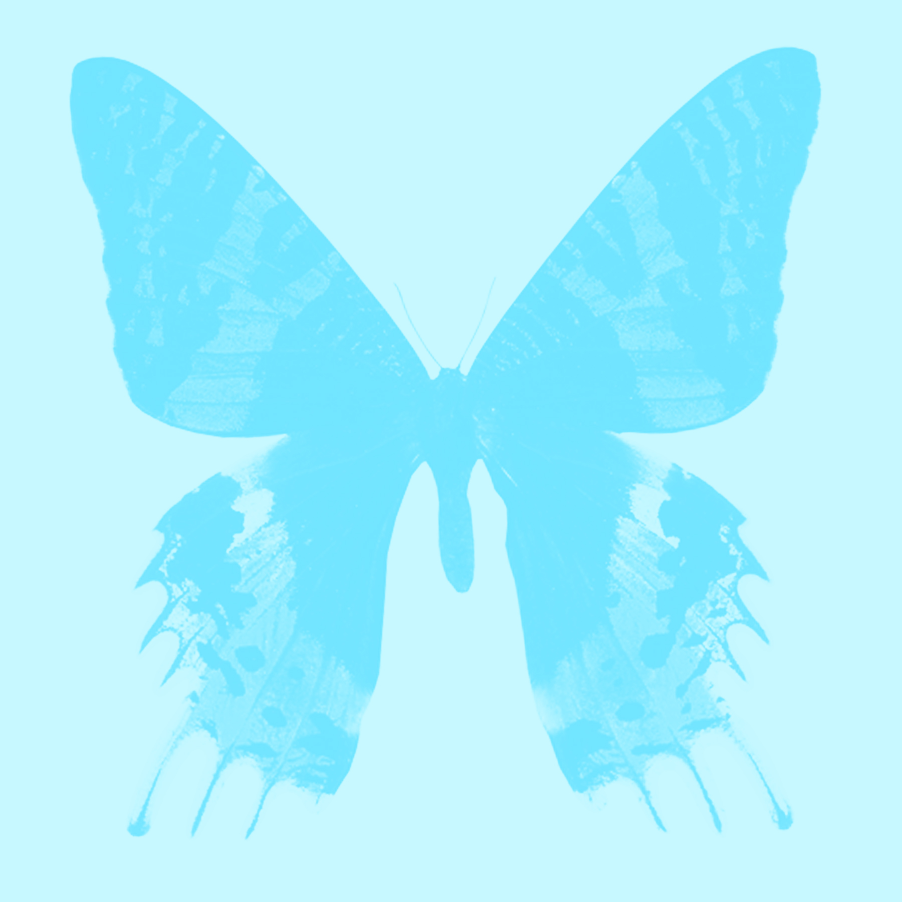 AK0152_BL