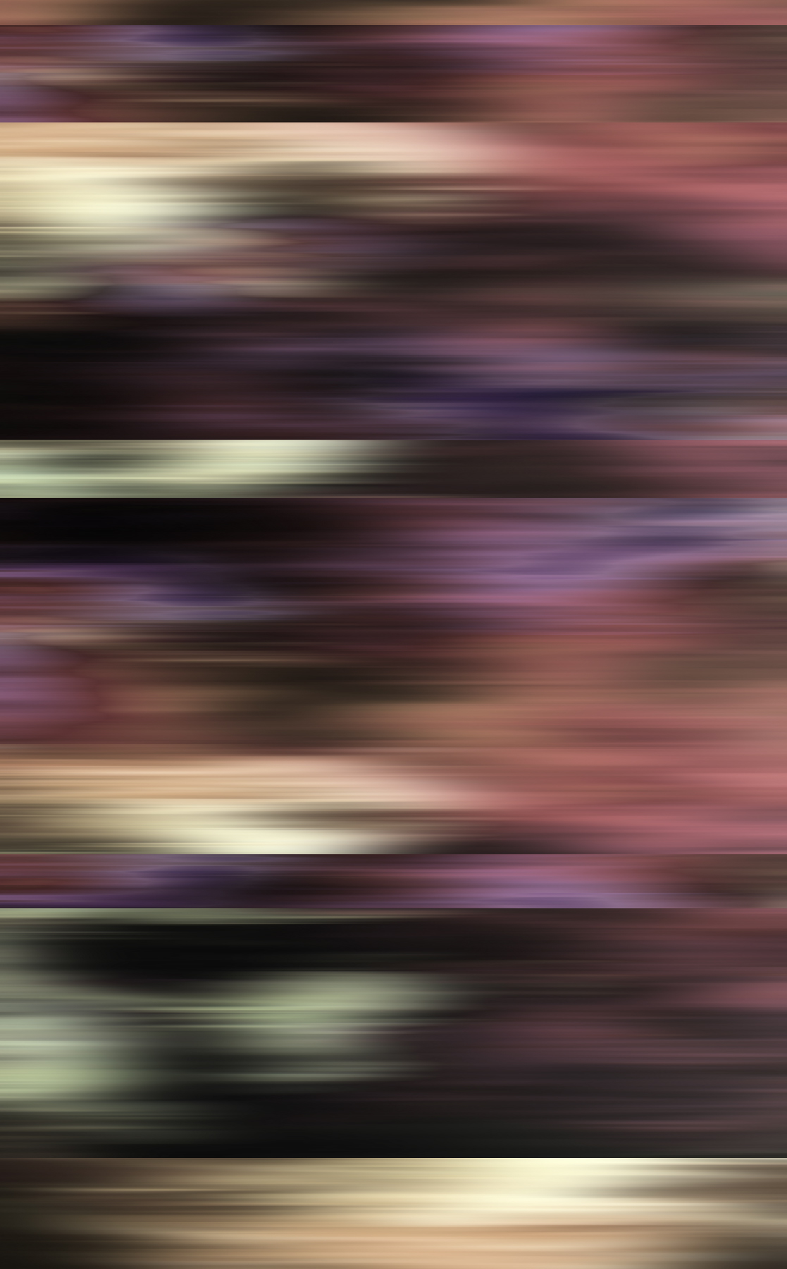 AL002593P_1PML