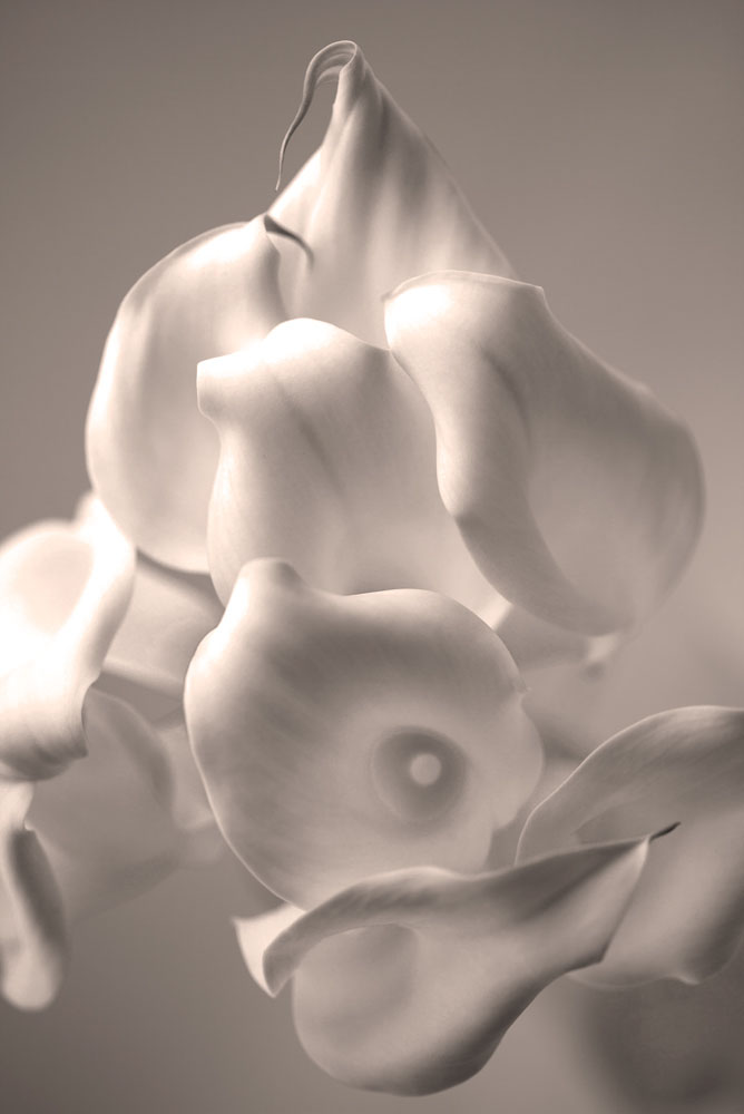 AL00404-SE2