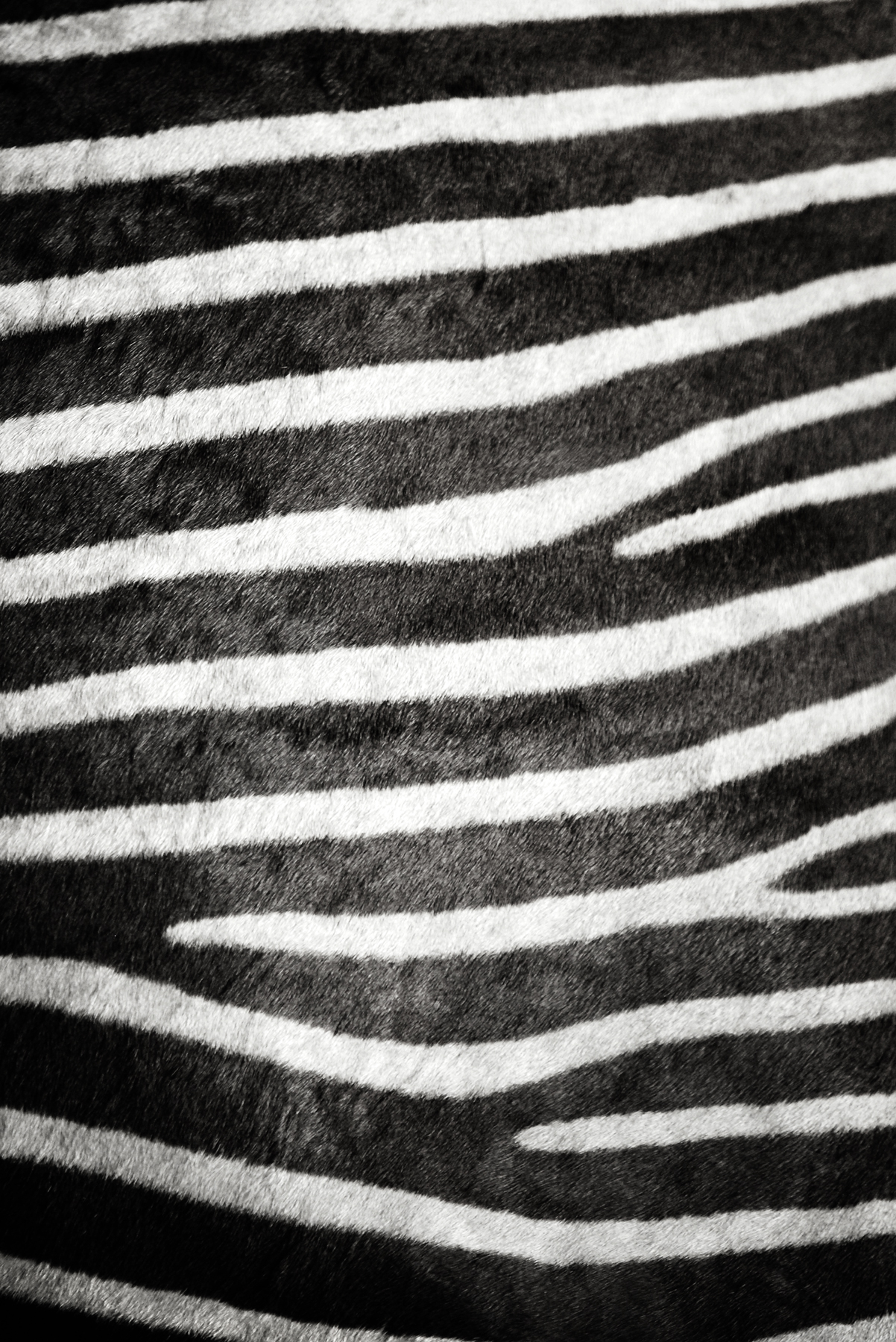 AL00685V