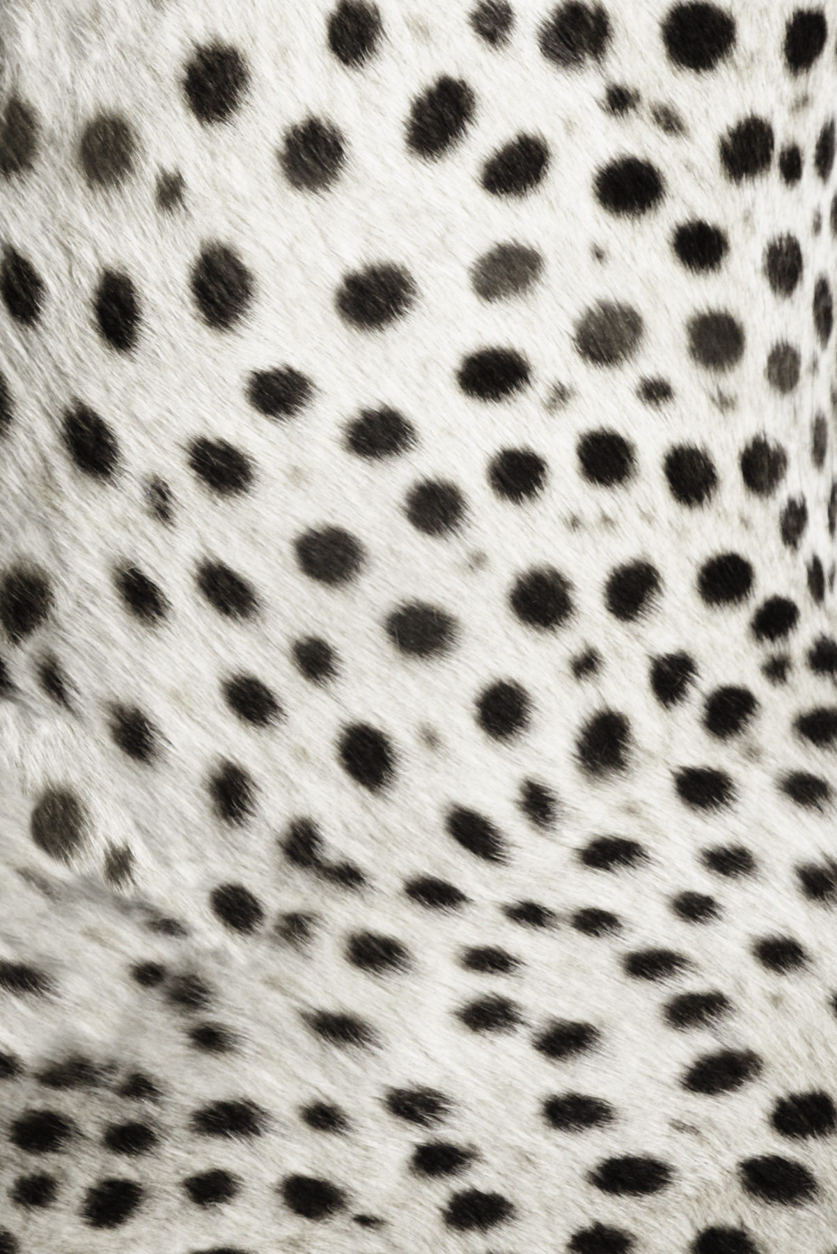 AL00698V