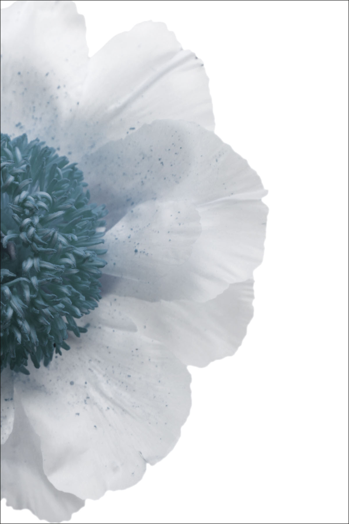 AL00975BLUER