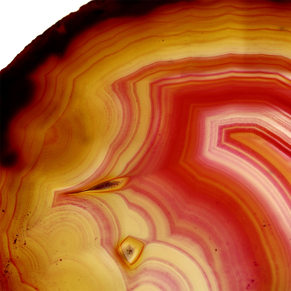 AL01025_24x24