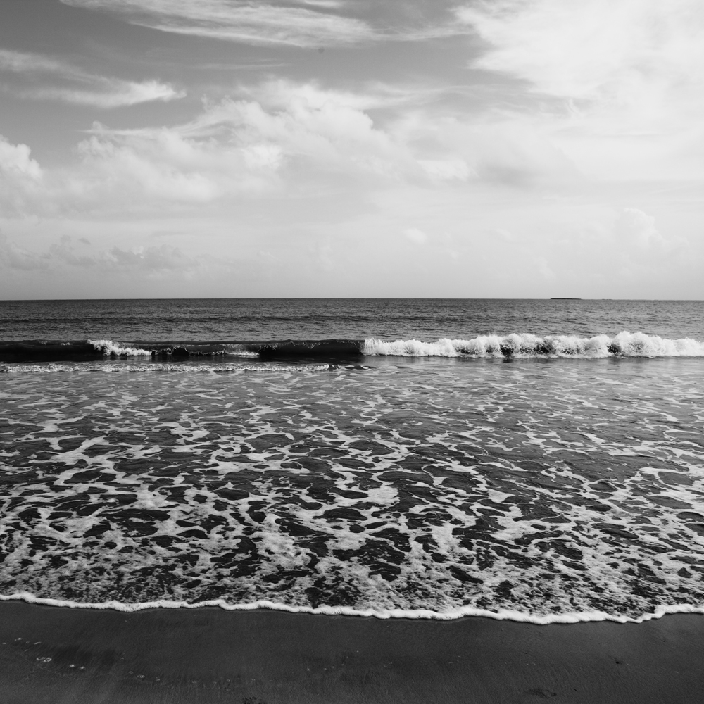 AL01619BW