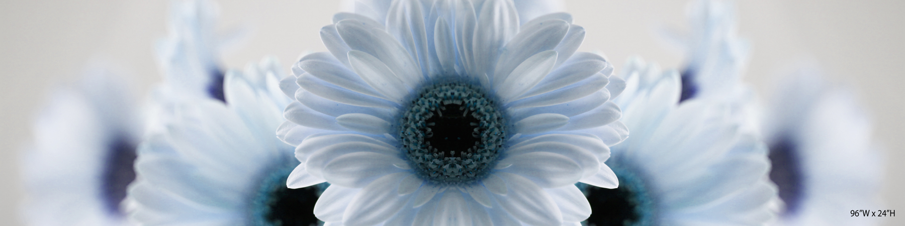 AL01777