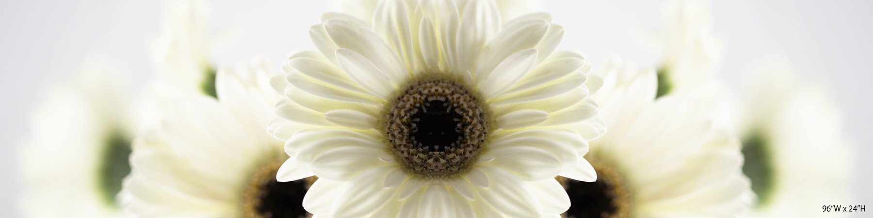 AL01778