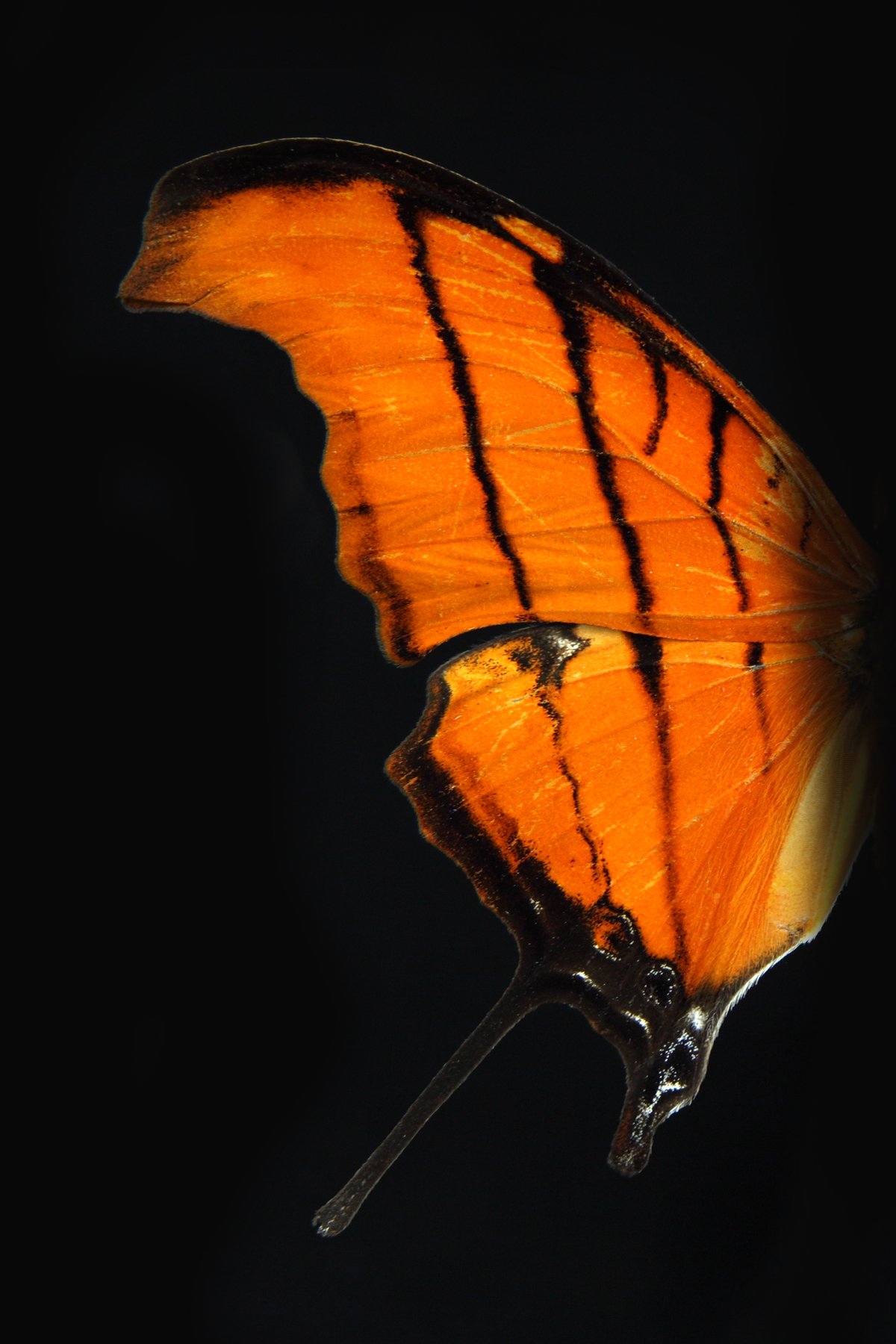 AL02202