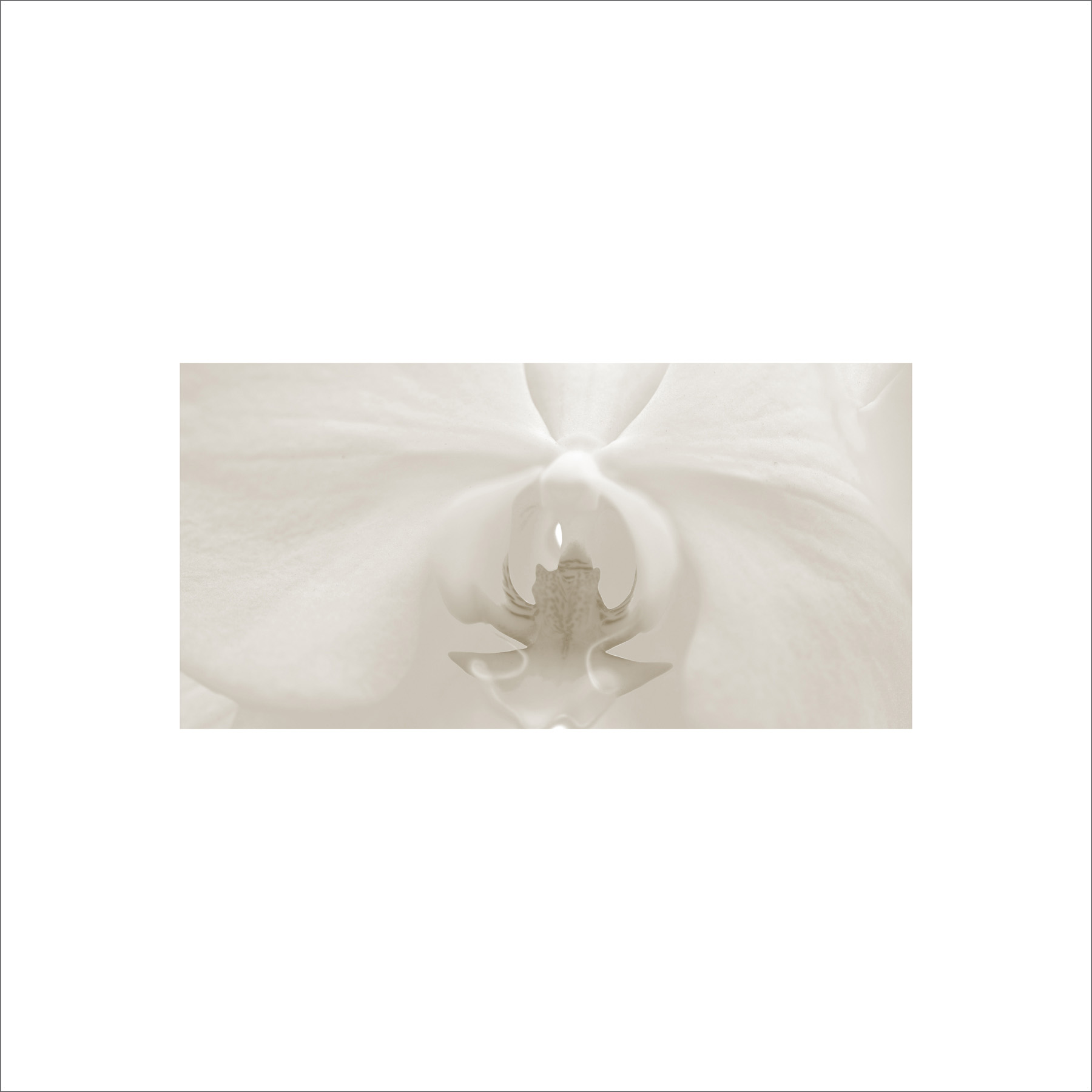 AL02230