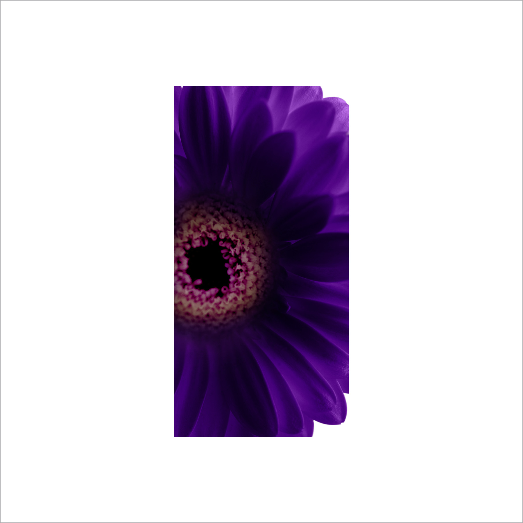 AL02505