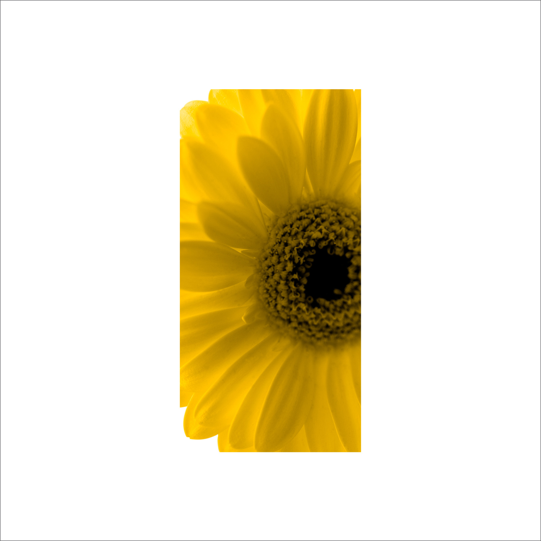 AL02506