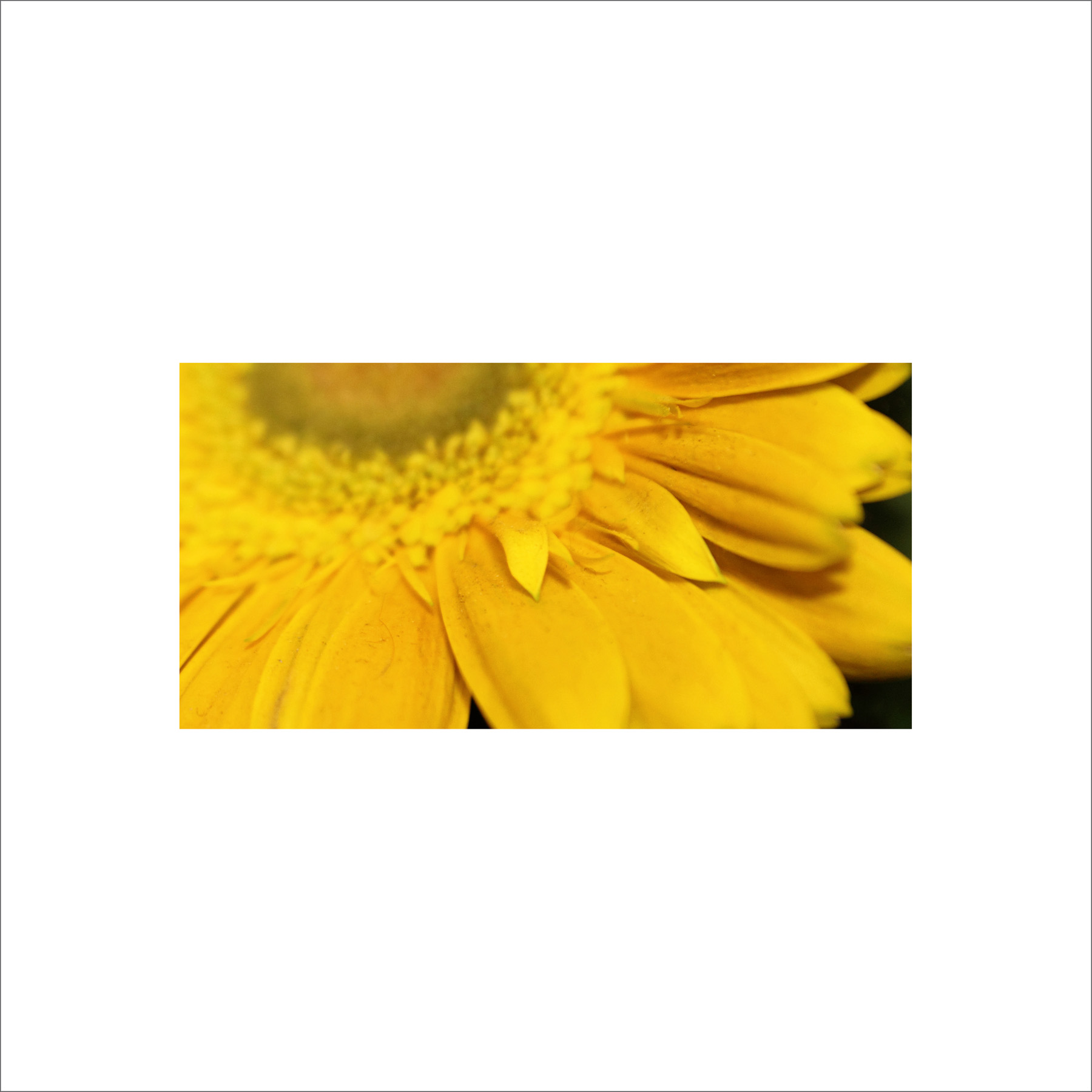 AL02509