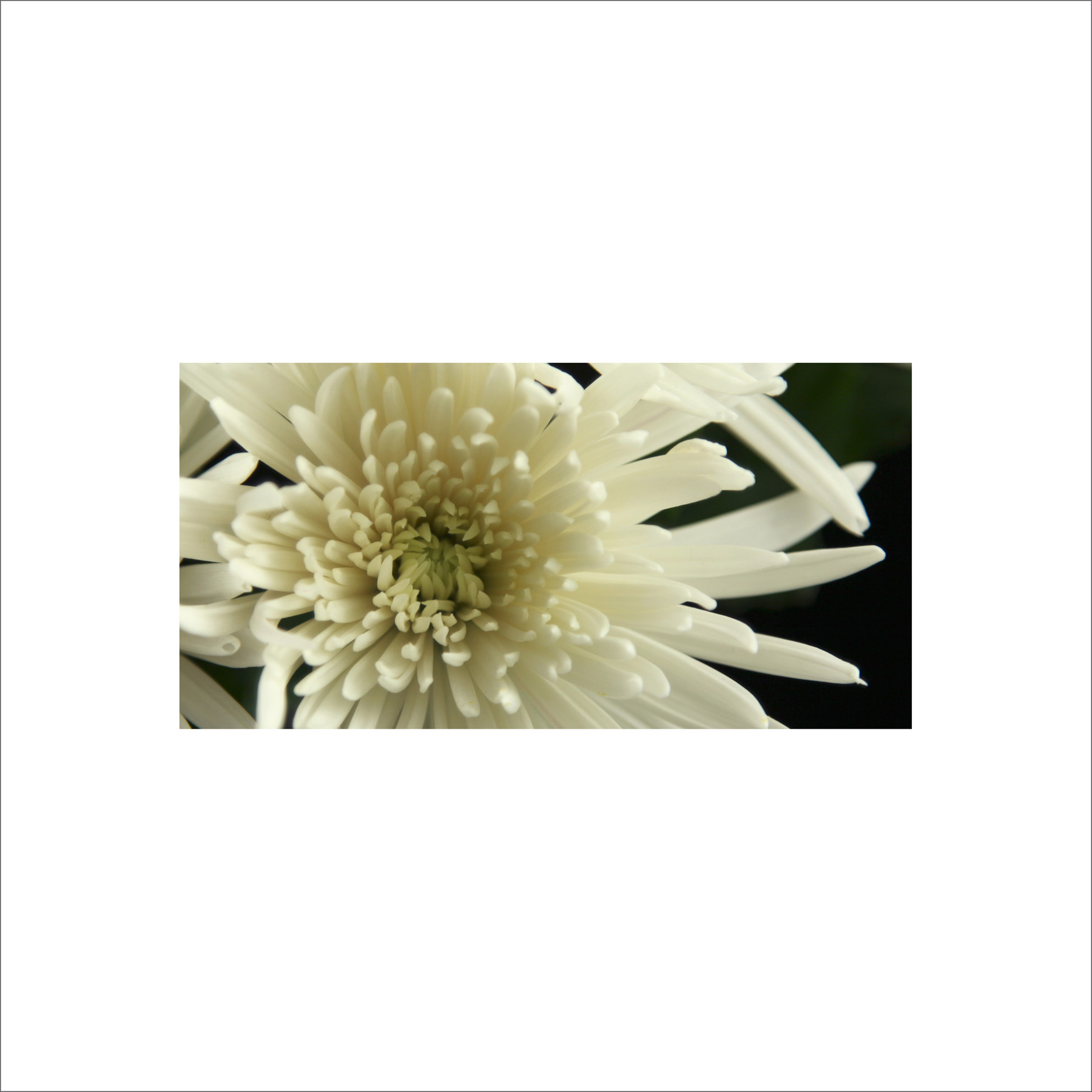 AL02512