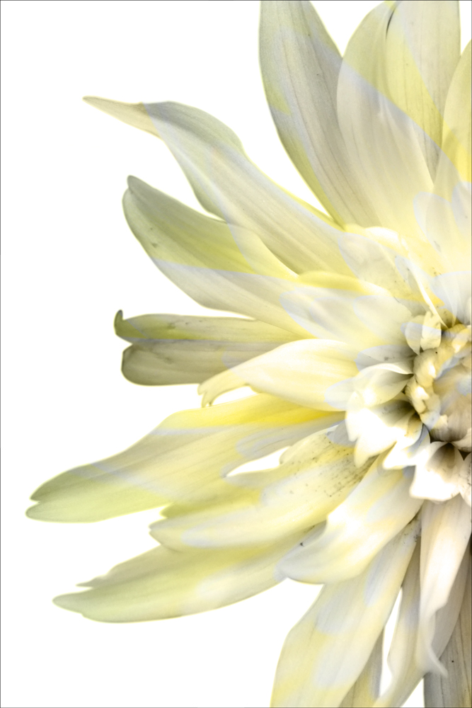 AL02549L