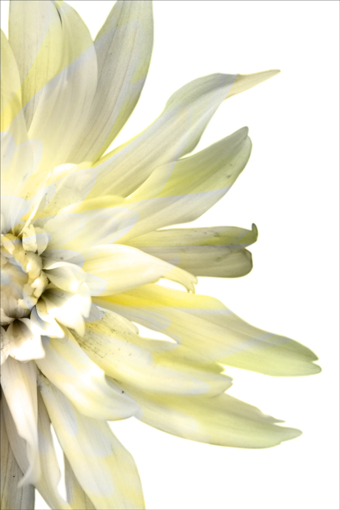 AL02549R