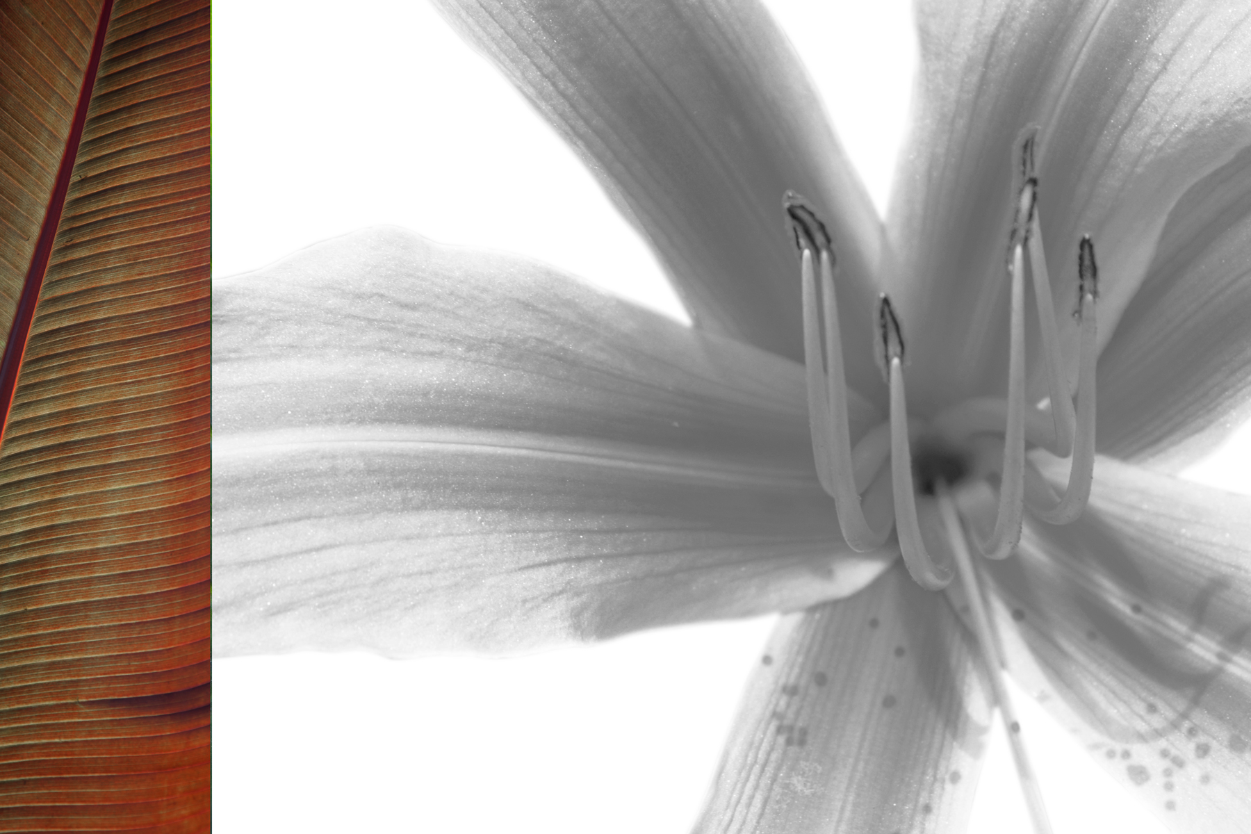 AL02606