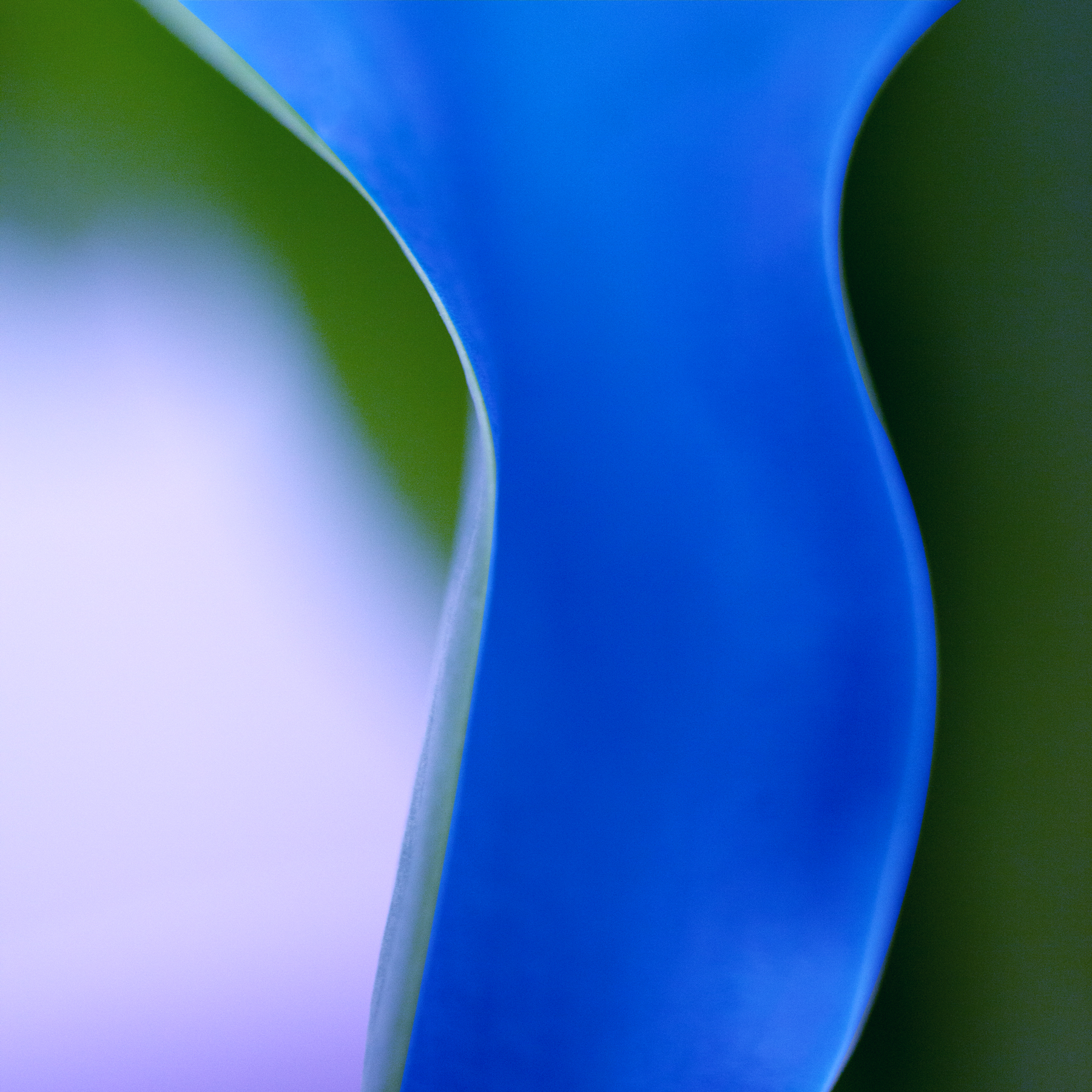 AL02662