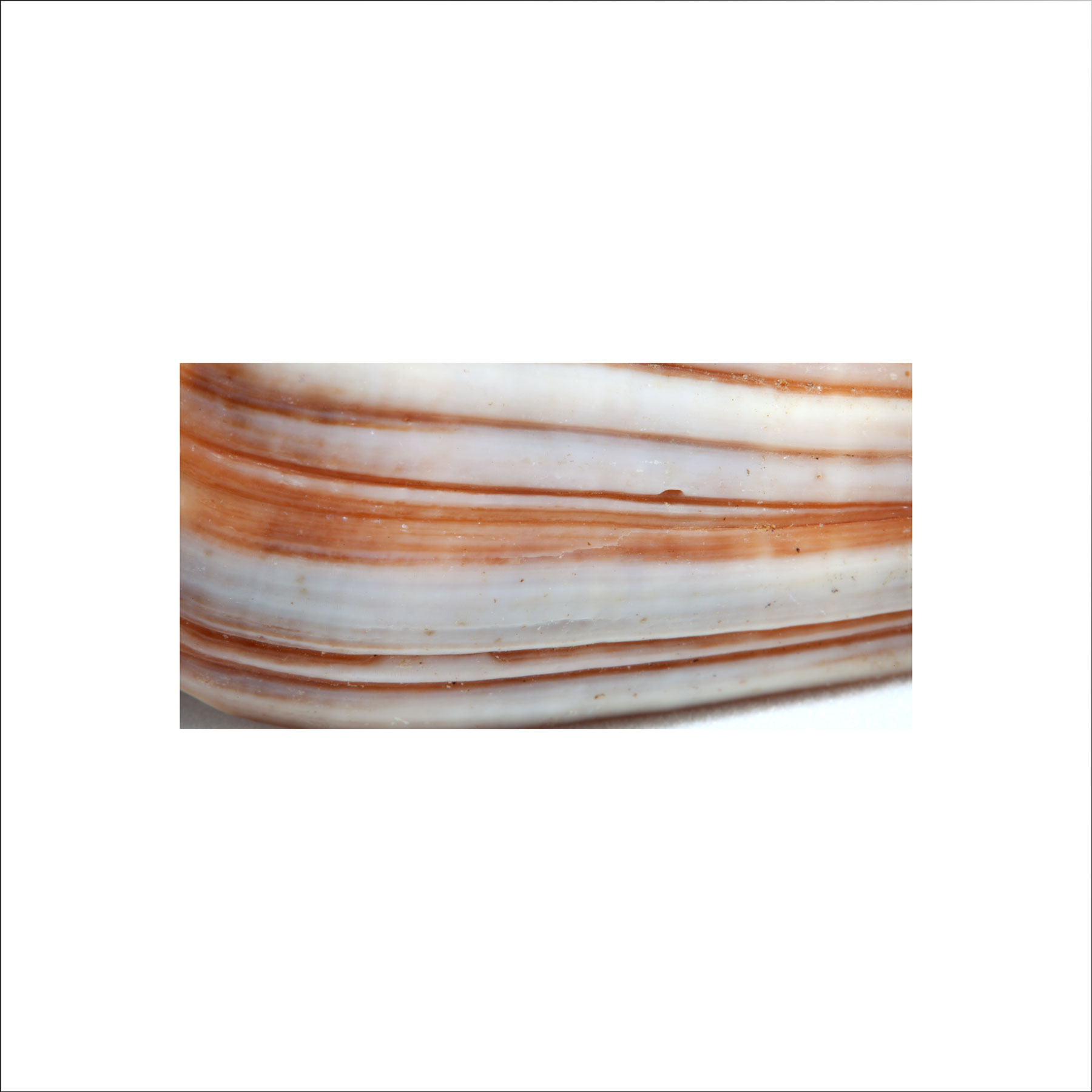 AL02674