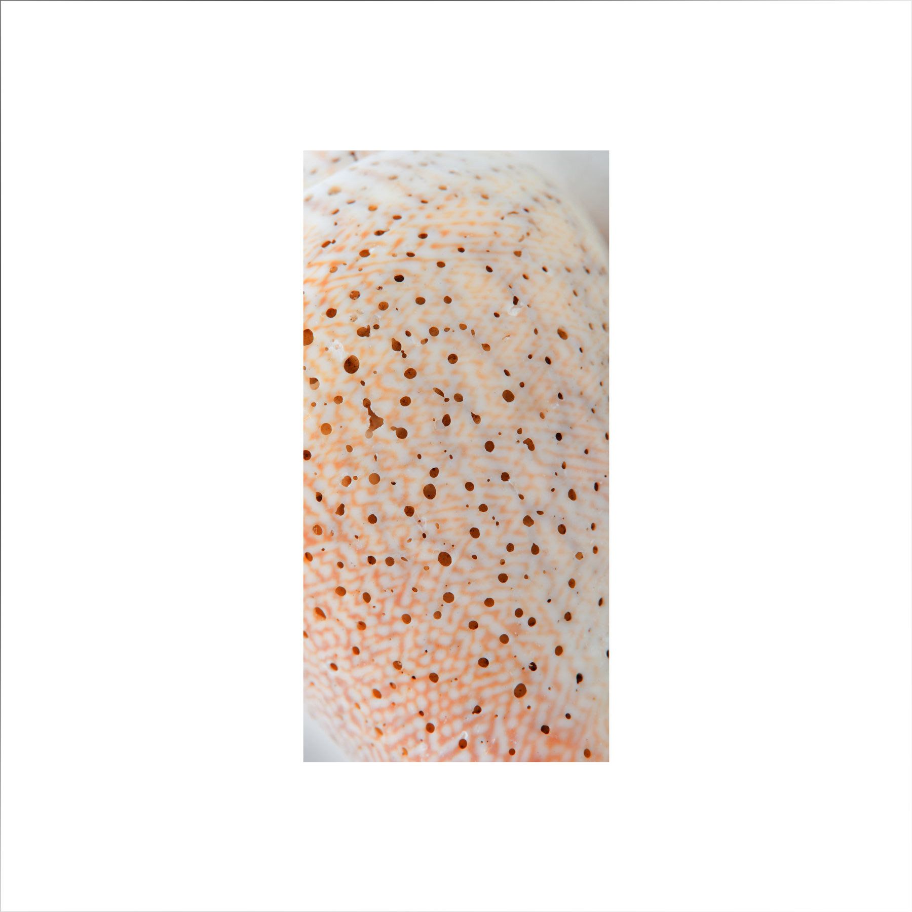 AL02676