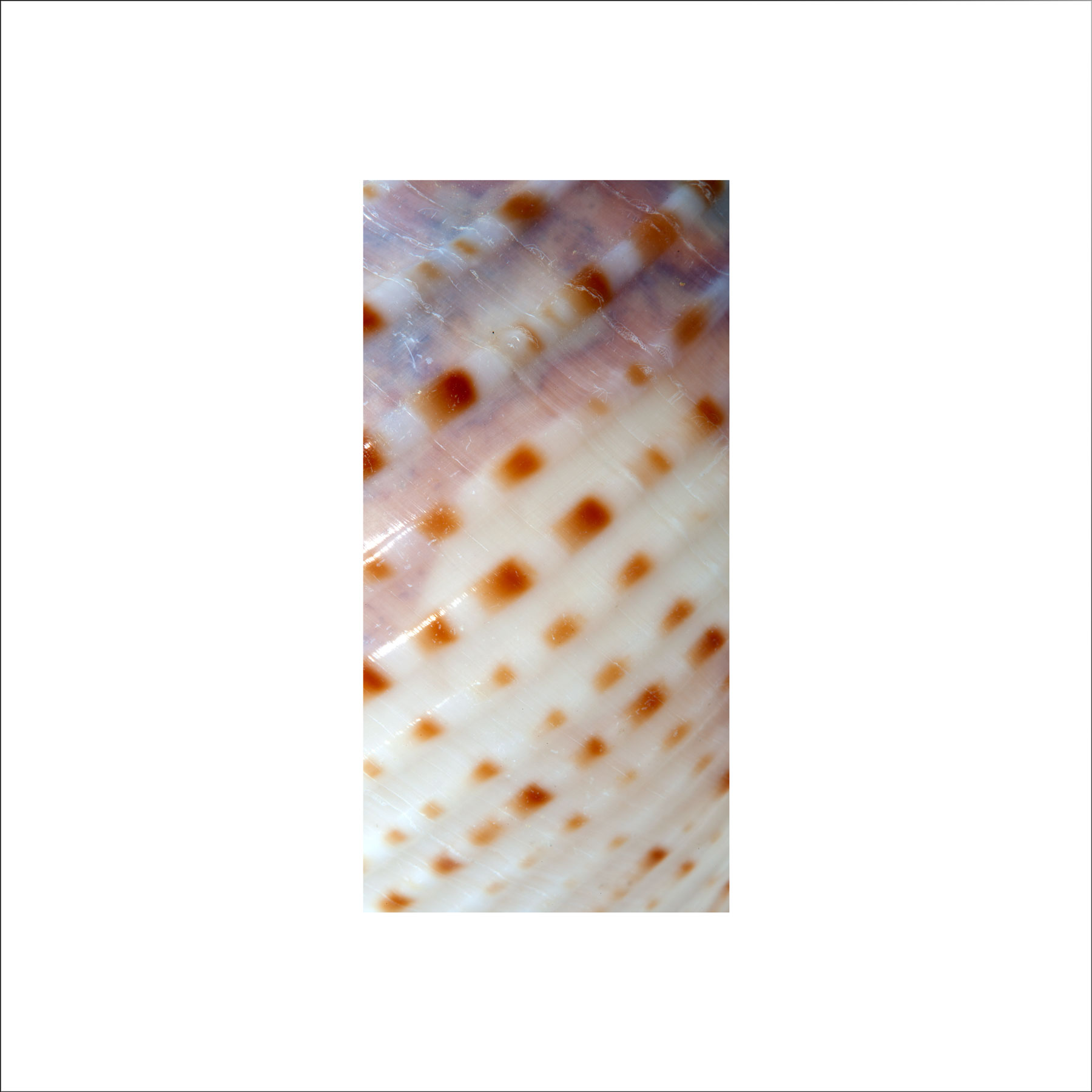 AL02677