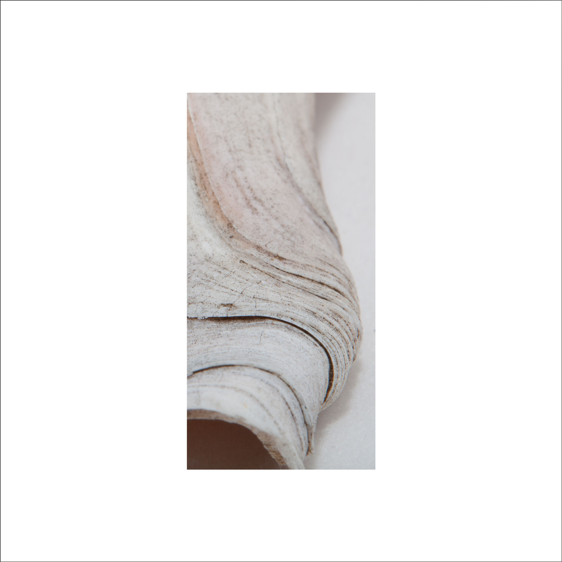AL02678