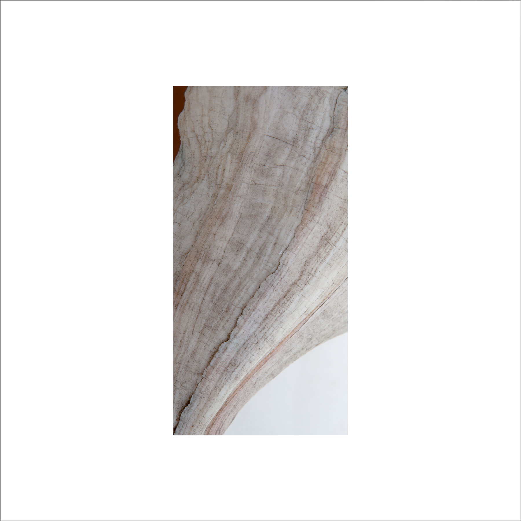 AL02679